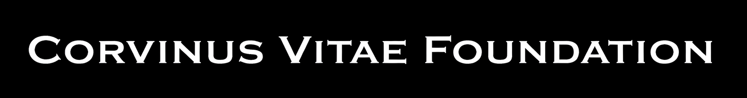 logo placeholder transparent